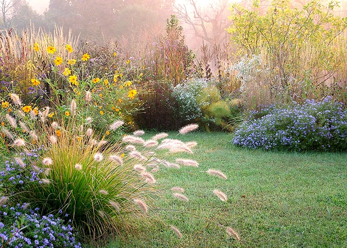 Jardin en automne
