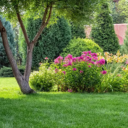 Jardin fleuri