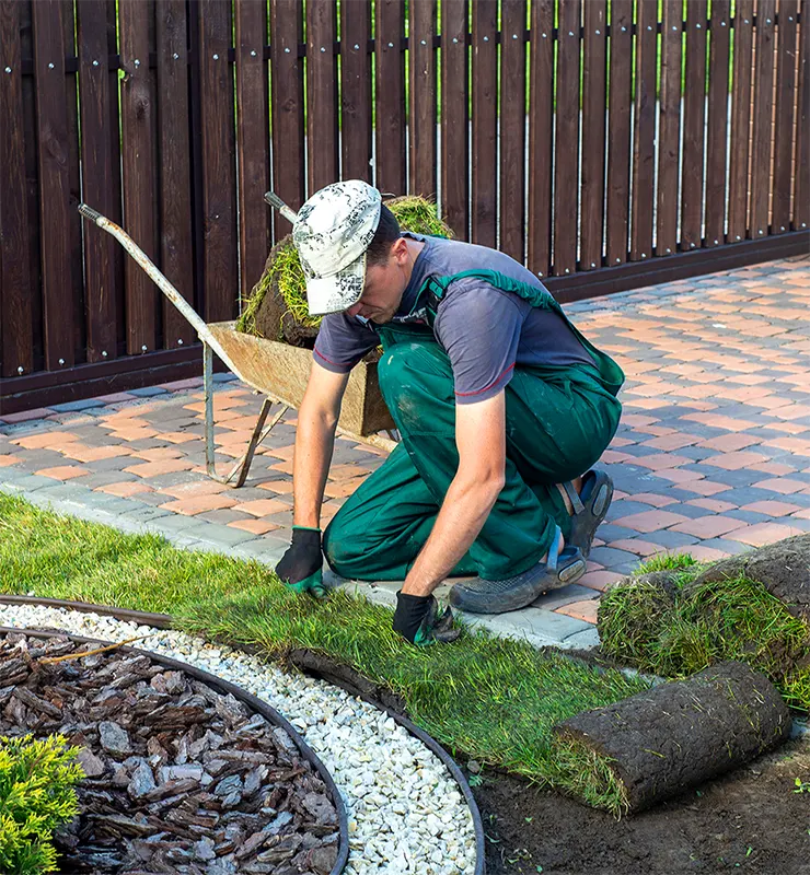 Jardinier posant une pelouse