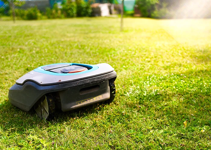 Robot tondeuse sur une pelouse