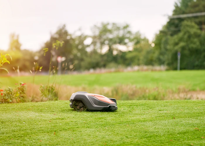 Robot tondeuse sur une pelouse